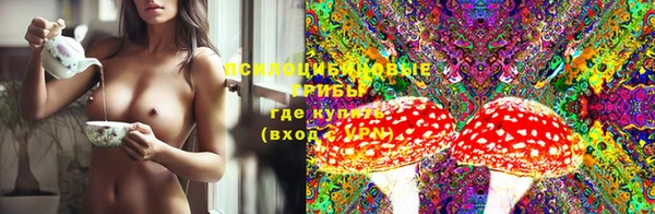 ПСИЛОЦИБИНОВЫЕ ГРИБЫ Бронницы