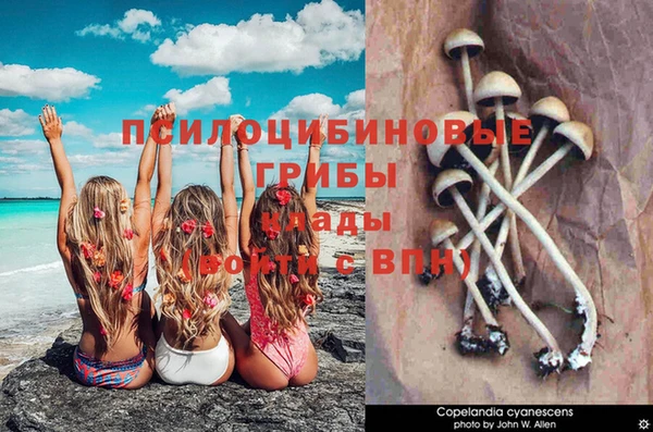 винт Бугульма